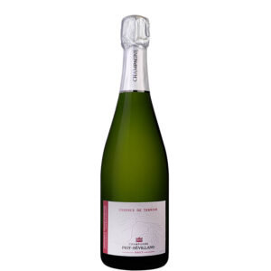 champagne-piot-sevillano-traiteur-lyonnais